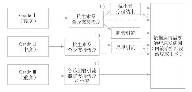 图5 急性胆管炎处理流程
